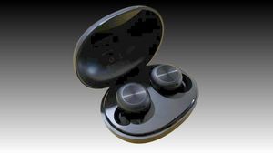 Dizo Earbuds