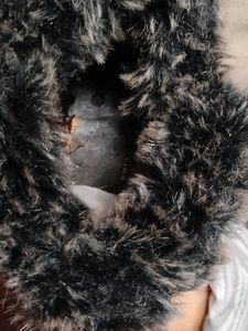 Fuzzy Trim Suede Slippers