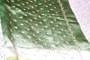Elegant Green Ombre Saree2