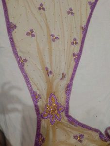 Elegant Beige Net Saree