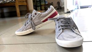 US polo Gray Sneakers with Red Accent