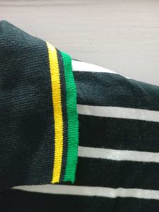 Striped Polo Shirt