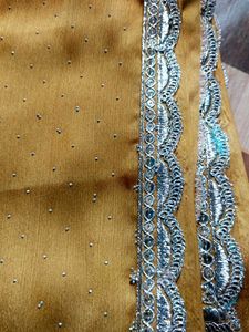 Party Wear Saree  With Sequen Work