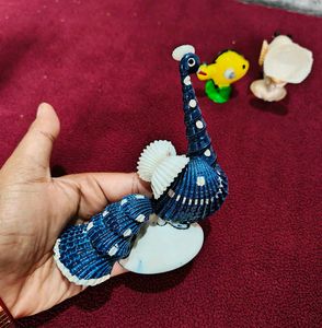 Shell Showpiece