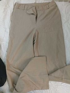 formal pant