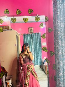 Rose Blush Embroidered Net Saree