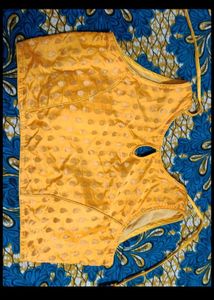 Saree With Sleeveless Blouse