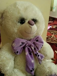 White With Purple Ribbon Teddy Bear