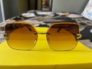 Classy Sunglasses