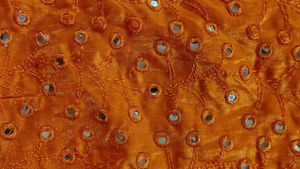 Orange &amp; Green Lehenga Choli Set