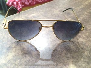 Brand New Black Sunglasses