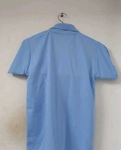 Cute Boy's Blue Polo Shirt