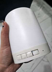 Smart Speaker With Lamp