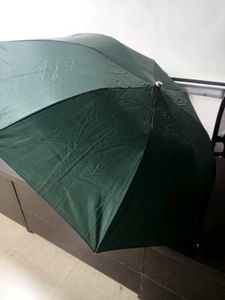 New Umbrella