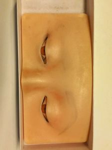 eyeshadow dummy