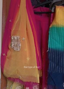 Royal Rajasthani Rangin Posak 😘
