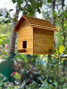 Birds Cage