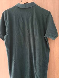 Green Polo Tshirts