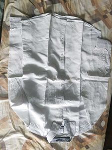 Crisp White Button-Down Shirt