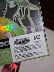 Noctilucent Dinosaur Fossil DIY Kit 2 Pcs