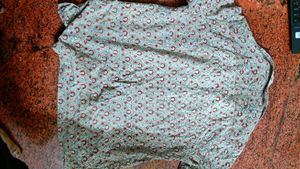 Fabindia Printed Shirt