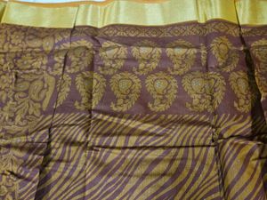 Brown Cotton Saree