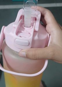 Gradient Water Bottle