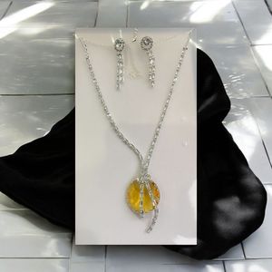 Silver Chain Single Dollar Necklace