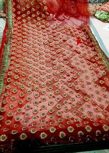 Light Weight Net Saree