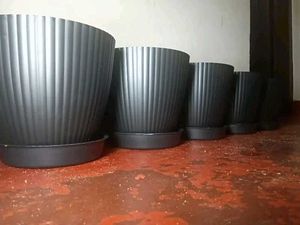 Flower Pots