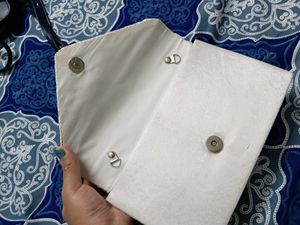 Elegant Clutch