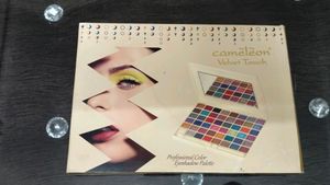 Professional Color Eyeshadow Palette