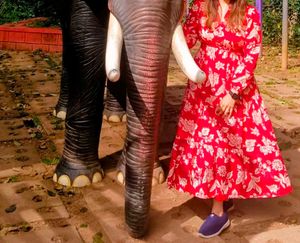 Red And White Floral Dress
