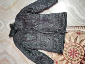 Winter Jacket Hai Mota Ha