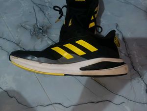💎 Adidas Shoes 💎