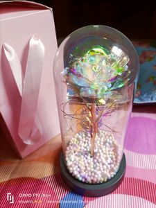 Flower Lamp 🛋️🪔