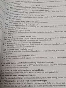 Xamidea Social Science Class X