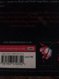 Breaking Dawn (Twilight Series)