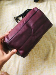 Cesca Designer Handbag