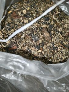 7 Kg Premium Dagad Phool (Kalpasi / Stone Flower)