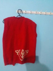 Two Sweaters  In Good condition