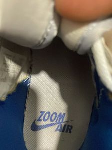 Zoom Air Jordans