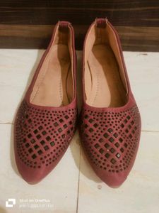 Elegant Maroon Bellies