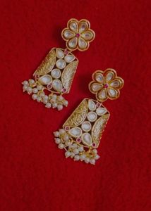 Earrings ✨