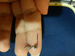 Pure Silver Necklace With Earings
