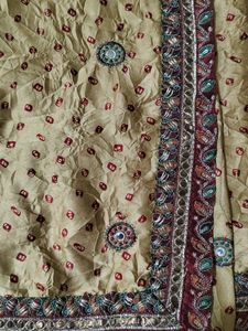 Elegant Embellished Saree