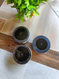 Pilgrim Red Vine Face Cream SPF 30