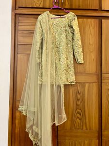 Elegant Pakistani Dress