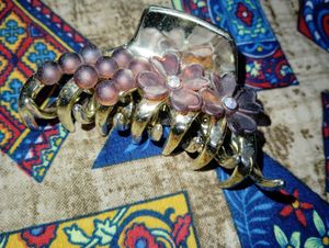 Hair Claw (Multicolor)