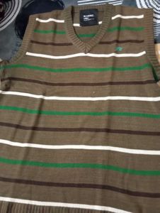 Beautiful Without sleev Sweater